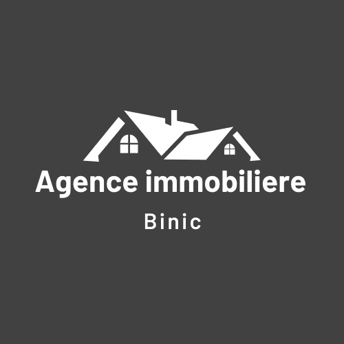 logo agence immobiliere binic
